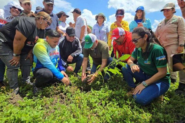 Plantarán 20.000 árboles para recuperar zona protectora del río Ospino