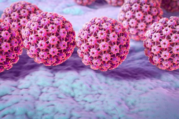 Una revisión científica desaconseja los probióticos y geles vaginales frente al virus del papiloma: “Pueden ser una pérdida de tiempo y dinero” | Sociedad EL PAÍS