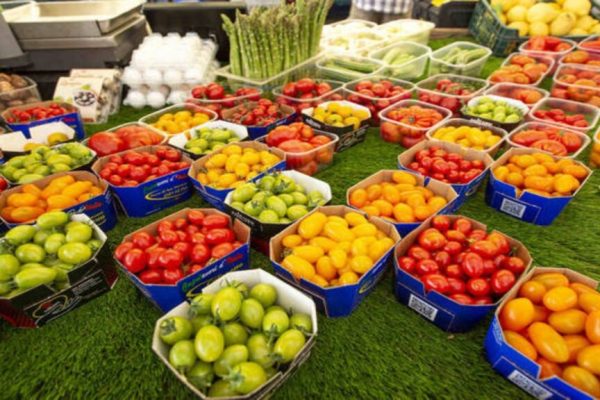Venezuela apuesta al retorno exportador con fortalezas agrícolas