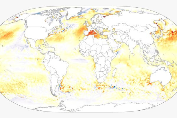 El mar Mediterráneo se tropicaliza: agua a 30 grados, noches tórridas y llegada de especies invasoras | Clima y Medio Ambiente