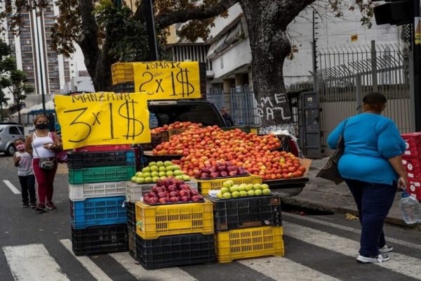 Indican que el emprendimiento informal disminuyó en los últimos años