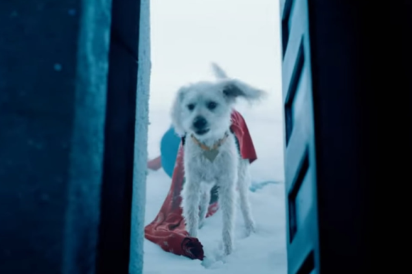 Krypto, el superperro mestizo que salva al Hombre de Acero Krypto, el superperro mestizo que salva al Hombre de Acero
