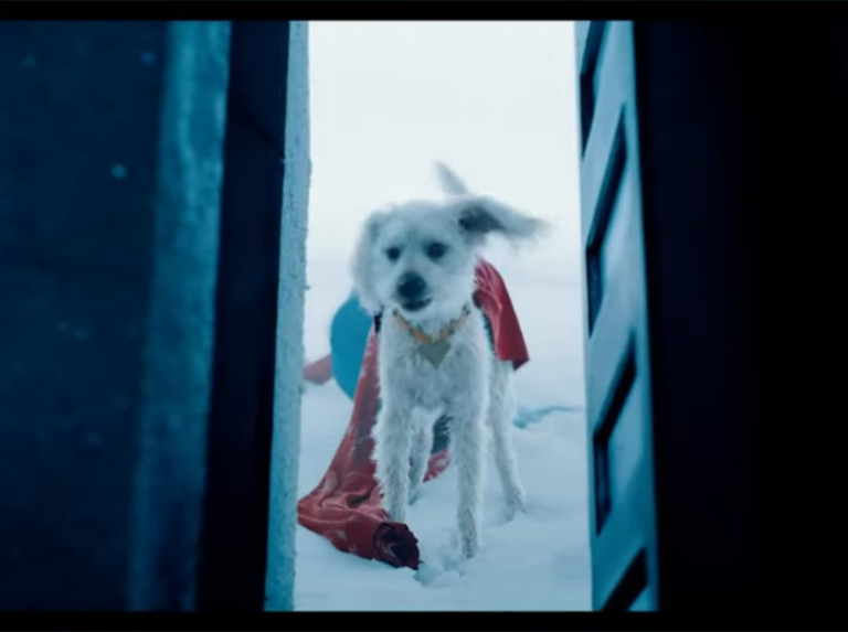 Krypto, el superperro mestizo que salva al Hombre de Acero