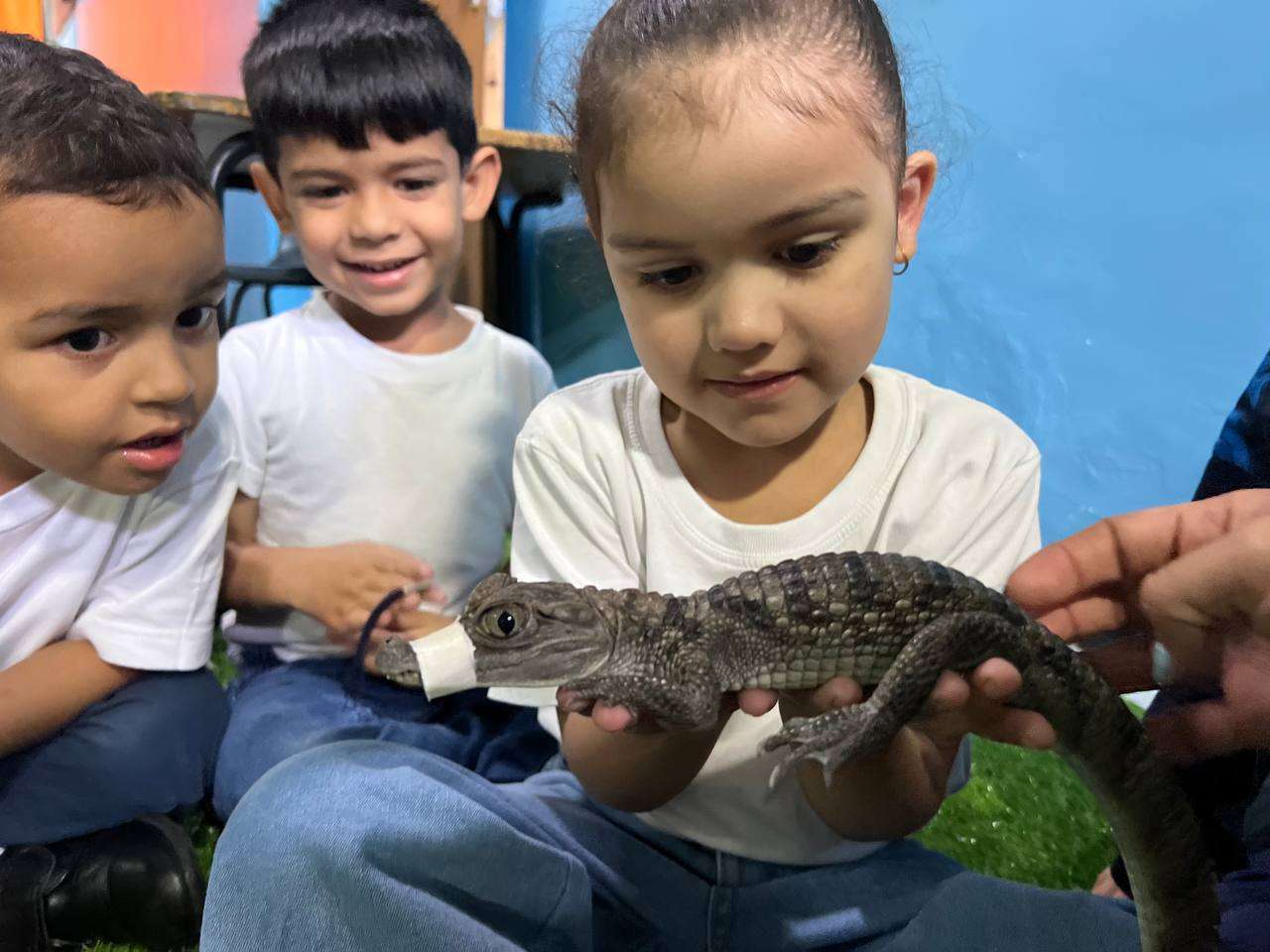 En Los Teques activan jornada para agilizar permisos de viaje a chamos