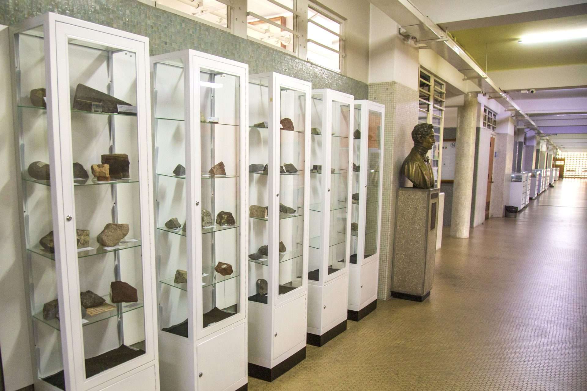 La historia geológica de Venezuela está en un museo de la UCV