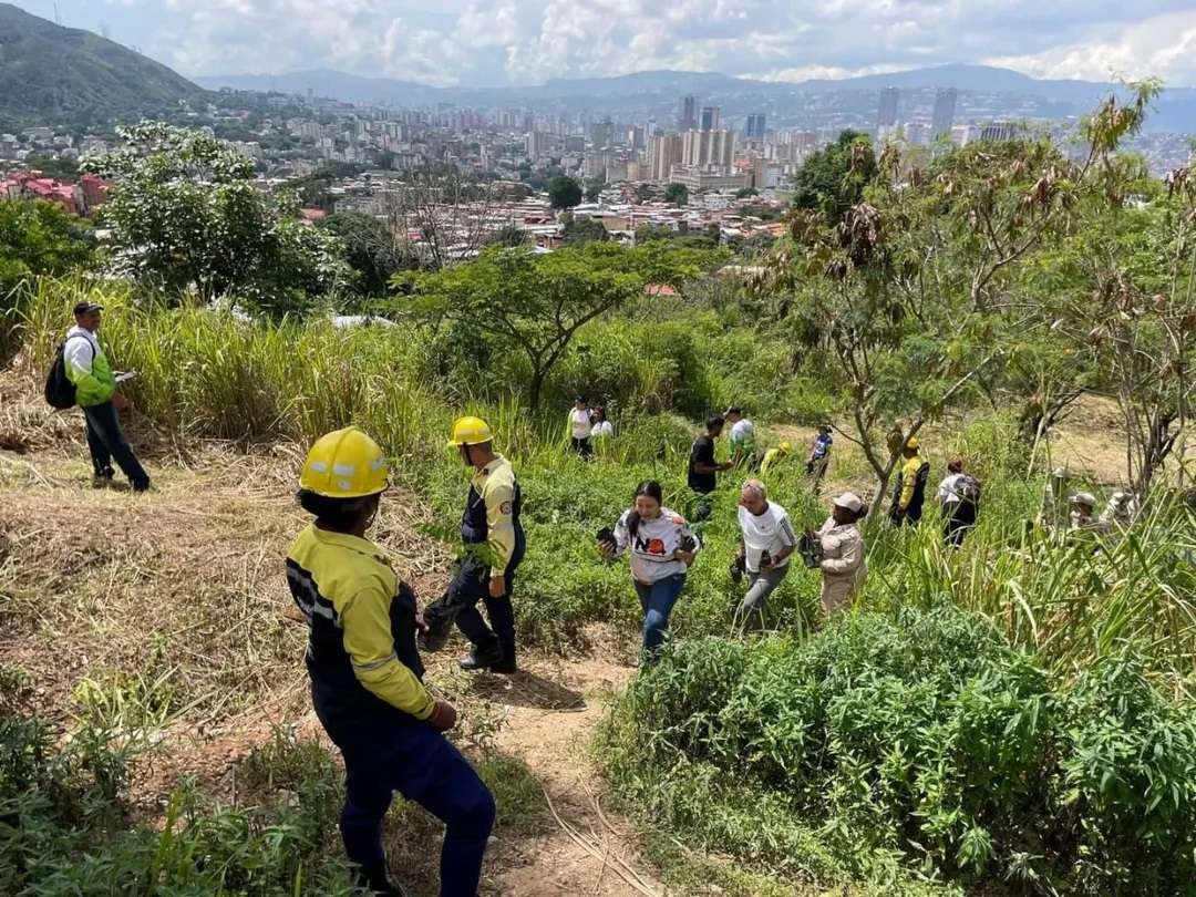 Sembraron 74.000 plantas en diferentes zonas del país