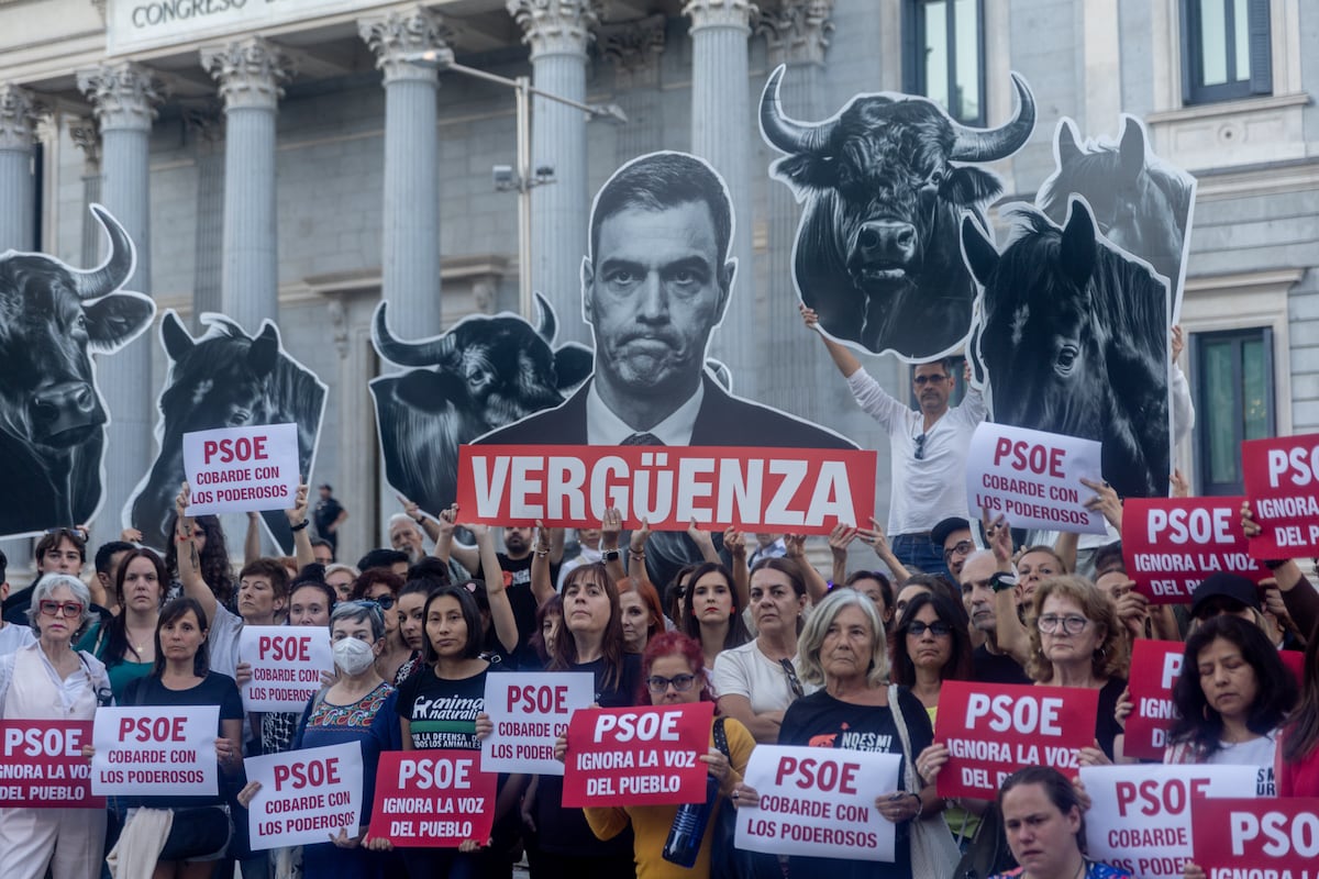 EL PAÍS