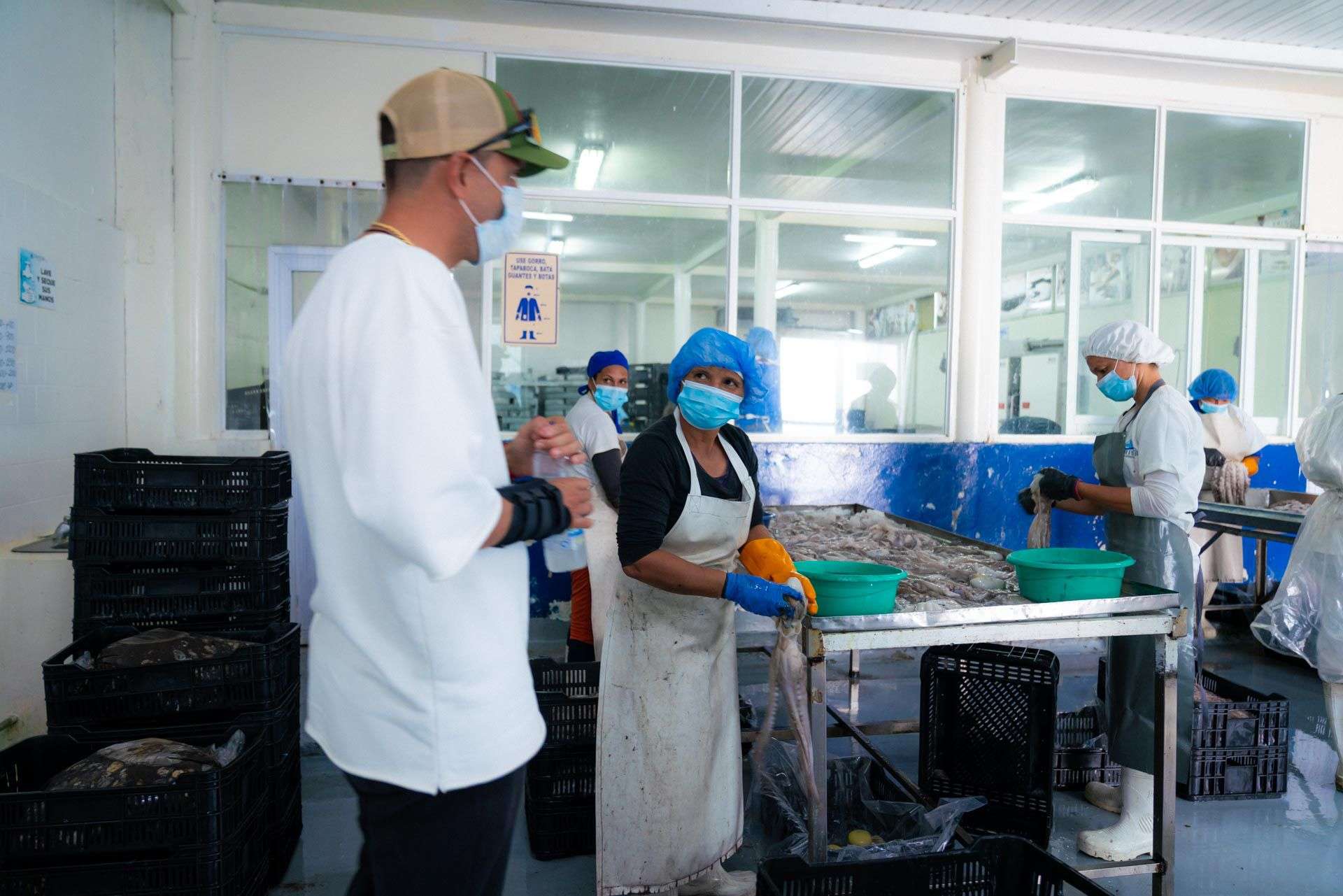 Exportaron medio millón de productos del mar desde La Guaira este año