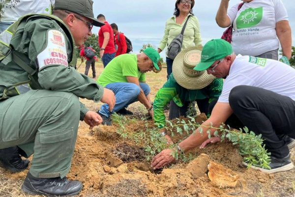 Reforestaron 5.000 hectáreas del Zulia con especies autóctonas