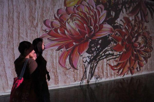 VI Bienal del Sur emociona al público con obra inmersiva VI Bienal del Sur emociona al público con obra inmersiva