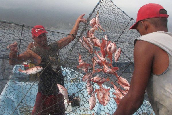 Venezuela y China firman acuerdo de cooperación pesquera y acuícola