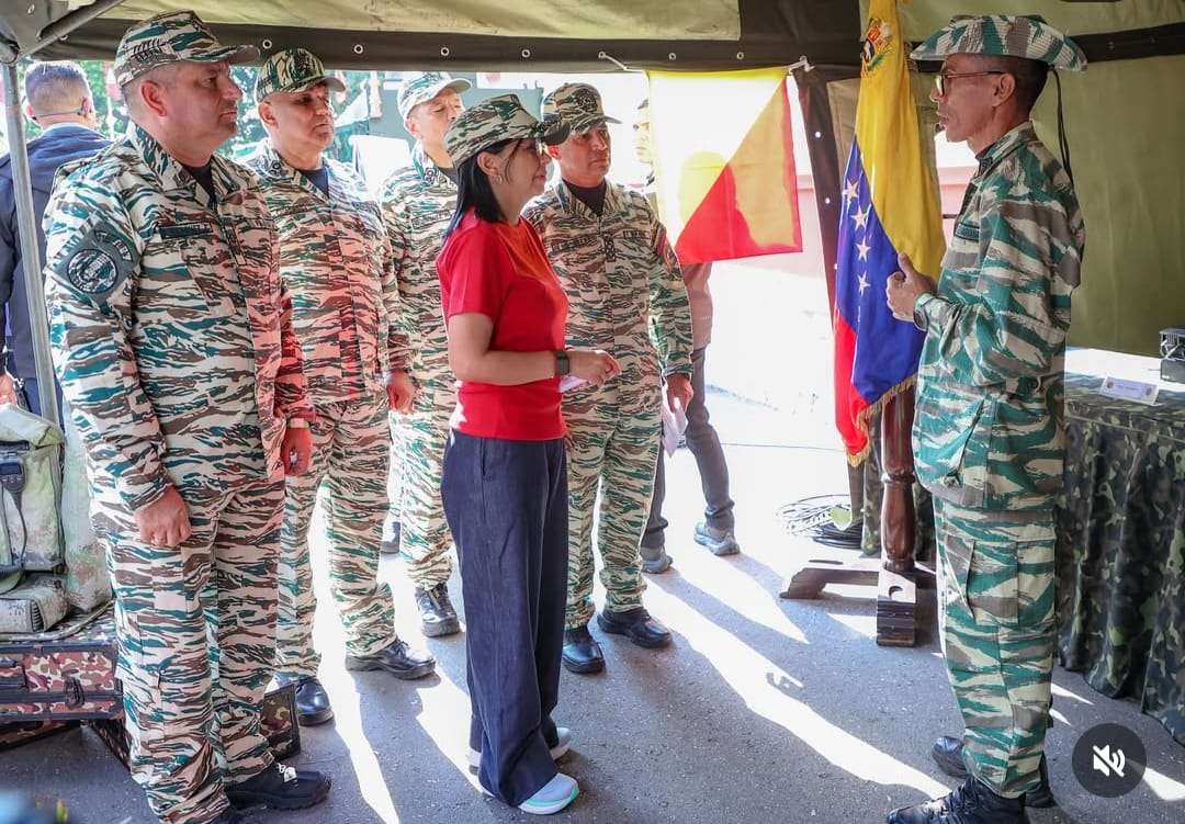 Vicepresidenta: estamos integrados en todos los sistemas de defensa