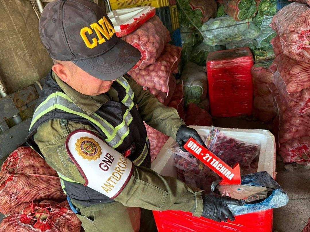 GNB incautó 33 kilos de presunta cocaína en Táchira