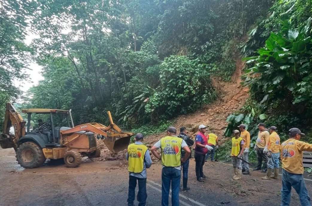 Tres viviendas afectadas por lluvias en El Vigía