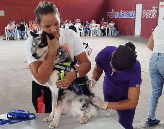 Plan de Vacunación Séxtuple Canina llegó a Charallave