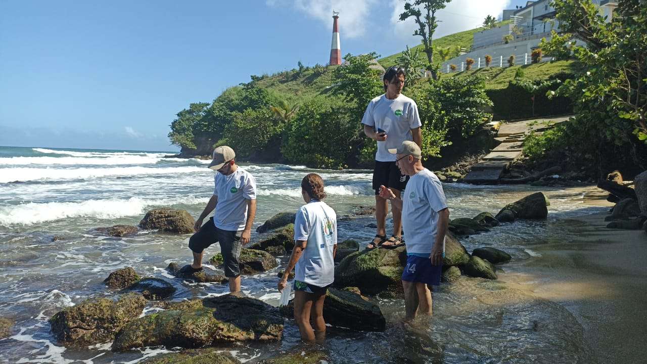 Hallan en Caruao cuatro macroalgas alimenticias