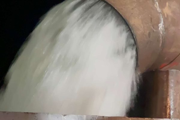 Micec habilita web para realizar denuncias relativas al ambiente