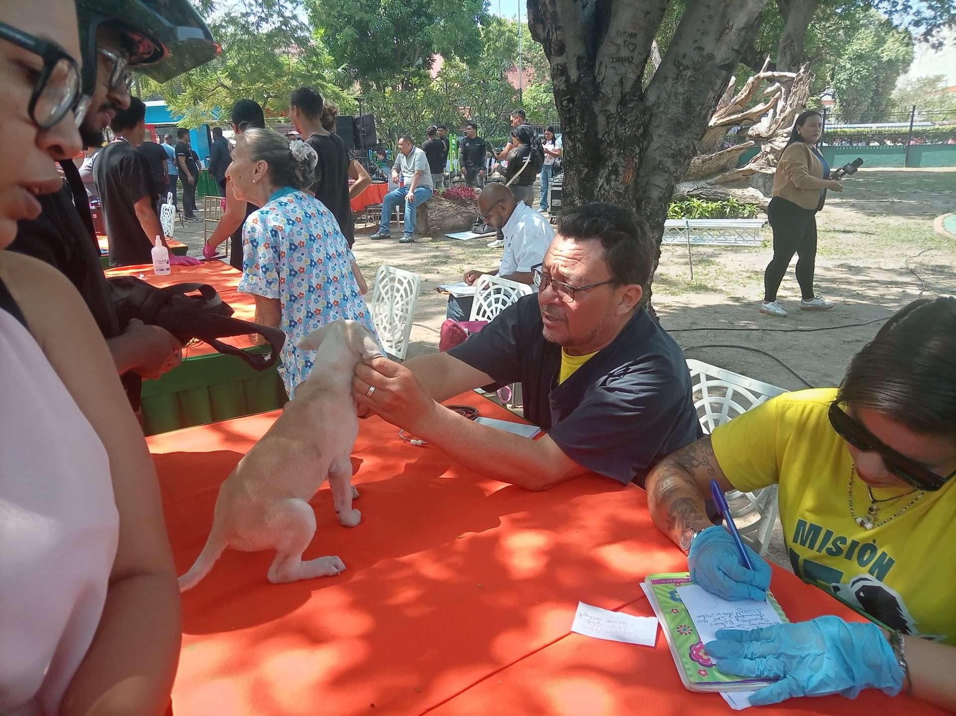 Aragua estrena sistema digital pionero para el bienestar animal