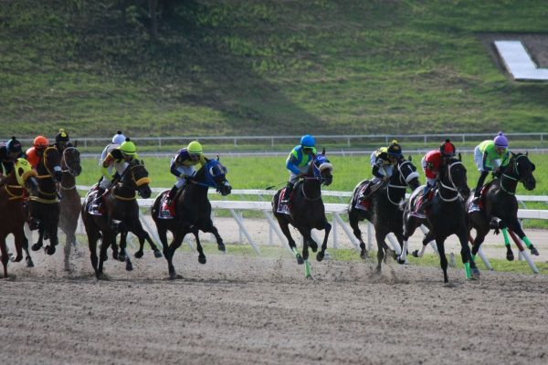 Jornada de 10 carreras en Caracas sin selectivas