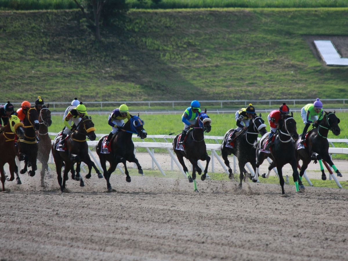 Jornada de 10 carreras en Caracas sin selectivas