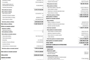 Banco Central de Venezuela Balance al 31/03/2026