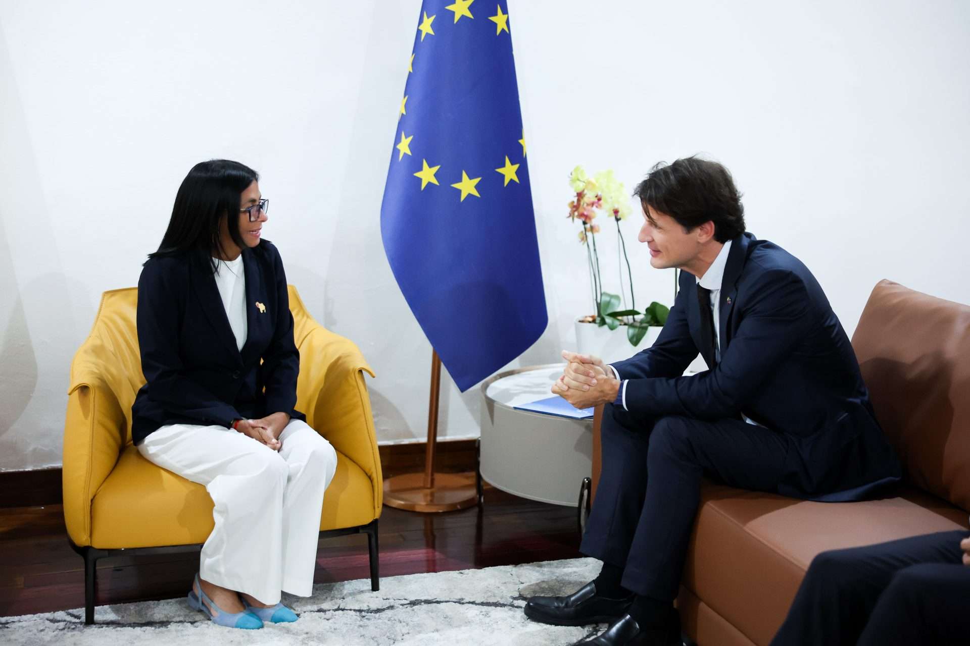 Delcy Rodríguez recibe delegación de la UE y Servicio Europeo de Acción Exterior
