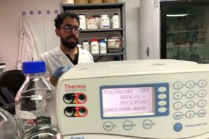 En el IDEA investigan el transfondo genético del ADN