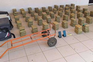 Incautan 137 kilos de marihuana y desarticulan red de tráfico en Falcón