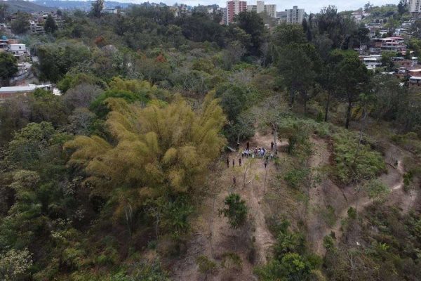 Inspeccionan el parque Gustavo Knoop en Los Teques