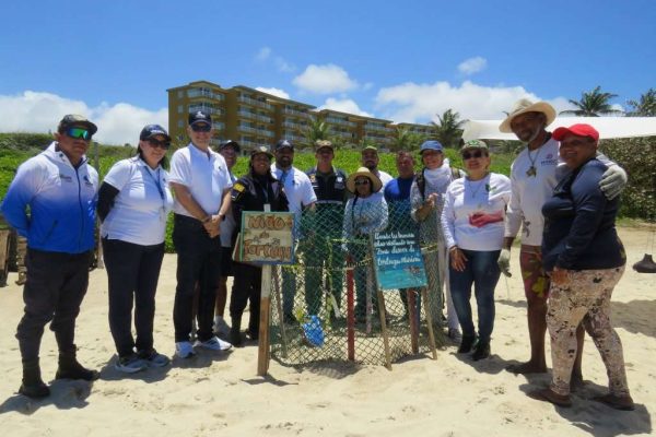 Inspeccionan viveros de tortugas marinas en playas de Nueva Esparta