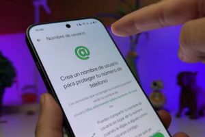 Menos números compartidos: llegan los nombres de usuario a WhatsApp