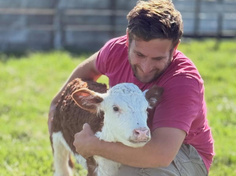 Raquelita, la ternera que conquistó las redes: aprobada por Chayanne