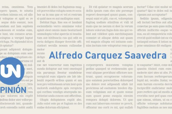 Se busca Papa a la medida