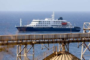Epidemiólogos de OMS revisarán crucero afectado por brote de hantavirus