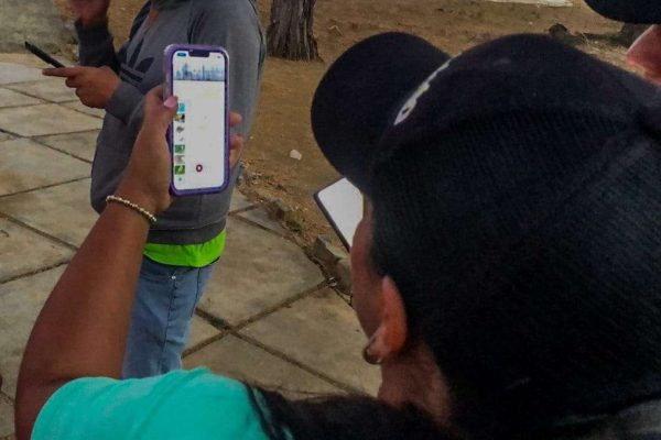 Falcón unido al Global Big Day 2026 por la conservación de las aves