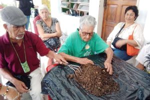 Inces inscribe a 22 mil adultos mayores en lo que va de año