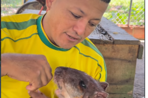 Influencer preso por tener fauna silvestre en cautiverio