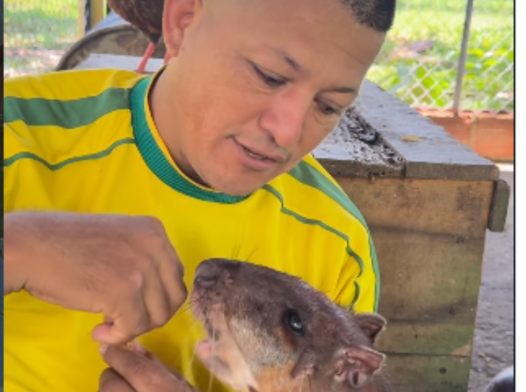 Influencer preso por tener fauna silvestre en cautiverio