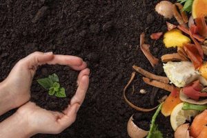 Más de 1.300 personas inician seminario virtual de conciencia ambiental