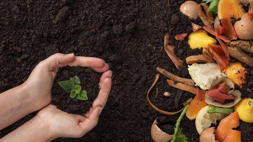 Más de 1.300 personas inician seminario virtual de conciencia ambiental