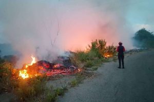 Más de 3 hectáreas de vegetación afectadas por incendios en Trujillo
