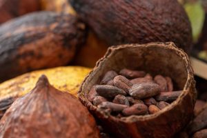 Precio del cacao se recupera y pasa los 4.000 dólares la tonelada
