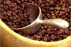 Premiarán excelencia de variedades de café arábica cultivadas en el país