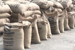 Exportan 19 toneladas de café verde para Italia desde Lara