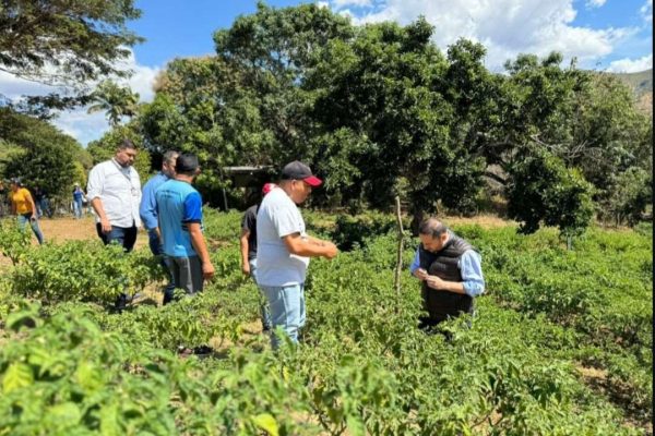Acav convoca al programa formativo Maestras y Maestros Agrícolas