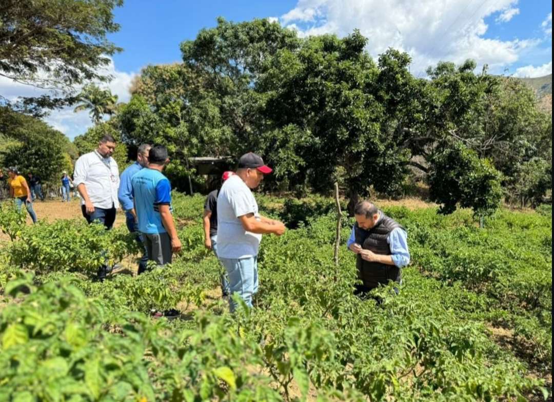 Acav convoca al programa formativo Maestras y Maestros Agrícolas