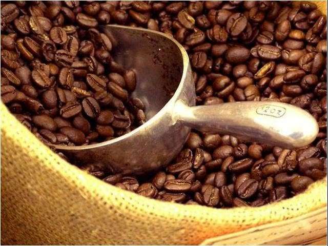 Café y especias venezolanas lideran exportaciones hacia EEUU