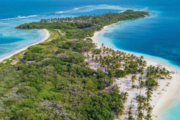 Cartografían secretos marinos de Morrocoy