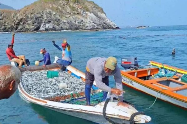 Entregan créditos para potenciar nivel de pesca en Nueva Esparta
