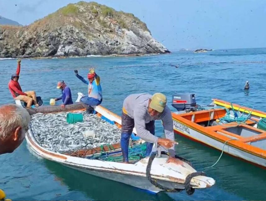 Entregan créditos para potenciar nivel de pesca en Nueva Esparta